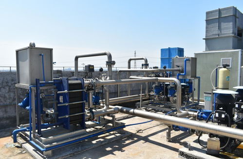 广州市前锋污水厂污泥处理与资源化利用策略