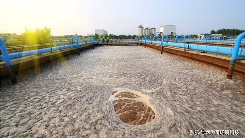 污水处理及其再生利用中的高效除臭方法