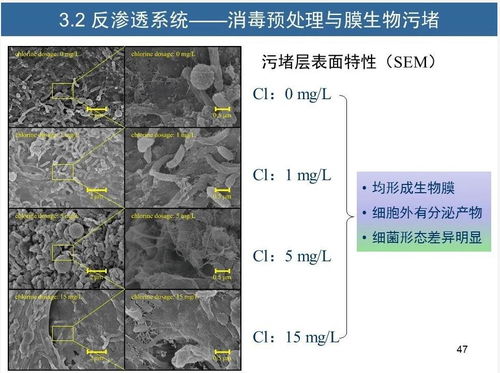 水征分析与污水再生处理工艺诊断优化方法——胡洪营教授专题分享