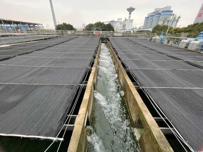 宁波实施五大工程，打造“再生水”利用全国新标杆